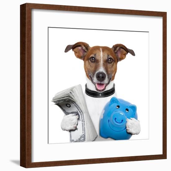 Money Dog-Javier Brosch-Framed Photographic Print