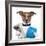 Money Dog-Javier Brosch-Framed Photographic Print