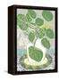 Money Plant-Zoe Badger-Framed Stretched Canvas