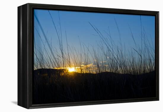 Mongolia, Central Asia, Camp in the Steppe Scenery of Gurvanbulag, Hills, Sundown-Udo Bernhart-Framed Premier Image Canvas