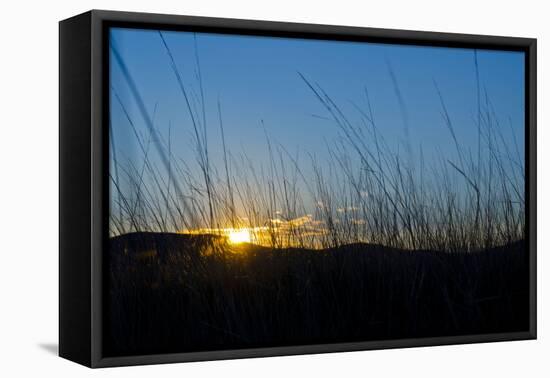 Mongolia, Central Asia, Camp in the Steppe Scenery of Gurvanbulag, Hills, Sundown-Udo Bernhart-Framed Premier Image Canvas