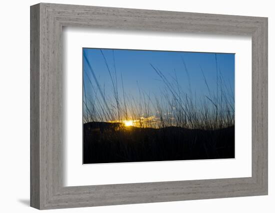 Mongolia, Central Asia, Camp in the Steppe Scenery of Gurvanbulag, Hills, Sundown-Udo Bernhart-Framed Photographic Print