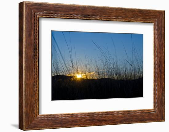 Mongolia, Central Asia, Camp in the Steppe Scenery of Gurvanbulag, Hills, Sundown-Udo Bernhart-Framed Photographic Print