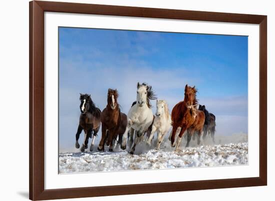 Mongolia Horses-Libby Zhang-Framed Photographic Print