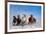 Mongolia Horses-Libby Zhang-Framed Photographic Print