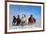 Mongolia Horses-Libby Zhang-Framed Photographic Print