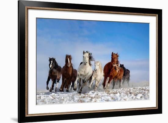 Mongolia Horses-Libby Zhang-Framed Photographic Print