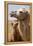 Mongolia, Lake Tolbo, Bactrian Camels-Emily Wilson-Framed Premier Image Canvas