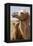 Mongolia, Lake Tolbo, Bactrian Camels-Emily Wilson-Framed Premier Image Canvas