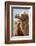 Mongolia, Lake Tolbo, Bactrian Camels-Emily Wilson-Framed Photographic Print