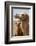 Mongolia, Lake Tolbo, Bactrian Camels-Emily Wilson-Framed Photographic Print