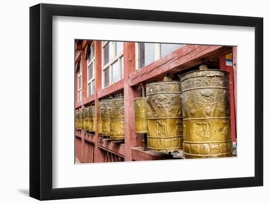 Mongolia, Ulaanbaatar, Gandantegchinlen Monastery-Emily Wilson-Framed Photographic Print