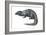 Mongoose (Herpestes Nyula), Mammals-Encyclopaedia Britannica-Framed Art Print