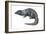 Mongoose (Herpestes Nyula), Mammals-Encyclopaedia Britannica-Framed Art Print