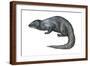 Mongoose (Herpestes Nyula), Mammals-Encyclopaedia Britannica-Framed Art Print