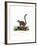 Mongoose Lemur-null-Framed Giclee Print