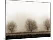 Premium Photographic Print