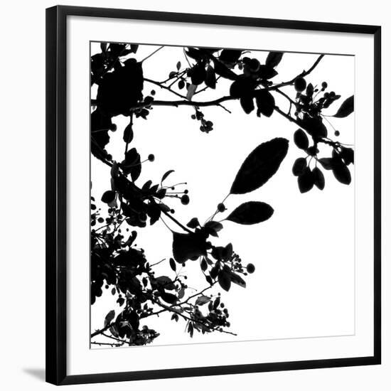 Photo, , large