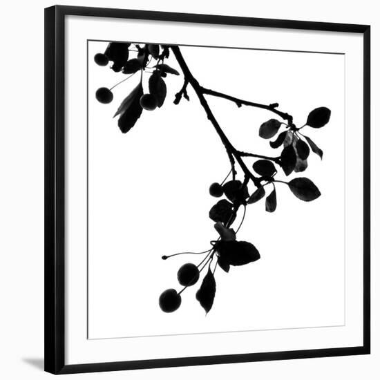 Photo, , large