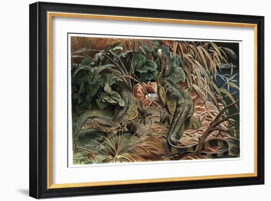 Monitor Lizard by Alfred Edmund Brehm-Stefano Bianchetti-Framed Giclee Print