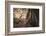 Monitor Lizard, Ranthambhore National Park, Rajasthan, India, Asia-Janette Hill-Framed Photographic Print