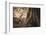 Monitor Lizard, Ranthambhore National Park, Rajasthan, India, Asia-Janette Hill-Framed Photographic Print