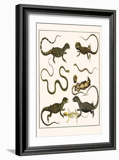 Monitors from Indonesia, Agama from Sri Lanka, Lizards, Anoles and Snakes-Albertus Seba-Framed Art Print