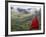 Monk and Farmlands in the Phobjikha Valley, Gangtey Village, Bhutan-Keren Su-Framed Photographic Print