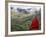 Monk and Farmlands in the Phobjikha Valley, Gangtey Village, Bhutan-Keren Su-Framed Photographic Print