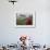 Monk and Farmlands in the Phobjikha Valley, Gangtey Village, Bhutan-Keren Su-Framed Photographic Print displayed on a wall