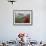 Monk and Farmlands in the Phobjikha Valley, Gangtey Village, Bhutan-Keren Su-Framed Photographic Print displayed on a wall