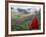 Monk and Farmlands in the Phobjikha Valley, Gangtey Village, Bhutan-Keren Su-Framed Photographic Print