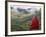 Monk and Farmlands in the Phobjikha Valley, Gangtey Village, Bhutan-Keren Su-Framed Photographic Print