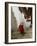 Monk Carrying Basket in Trongsa Dzong, Bhutan-Keren Su-Framed Photographic Print