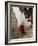 Monk Carrying Basket in Trongsa Dzong, Bhutan-Keren Su-Framed Photographic Print