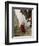 Monk Carrying Basket in Trongsa Dzong, Bhutan-Keren Su-Framed Photographic Print