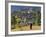 Monk Leaving Gangtey Dzong, and Village, Phobjikha Valley, Bhutan-Peter Adams-Framed Photographic Print