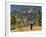 Monk Leaving Gangtey Dzong, and Village, Phobjikha Valley, Bhutan-Peter Adams-Framed Photographic Print