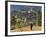 Monk Leaving Gangtey Dzong, and Village, Phobjikha Valley, Bhutan-Peter Adams-Framed Photographic Print