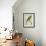 Monk Parakeet-Georges-Louis Buffon-Framed Giclee Print displayed on a wall