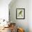 Monk Parakeet-Georges-Louis Buffon-Framed Giclee Print displayed on a wall