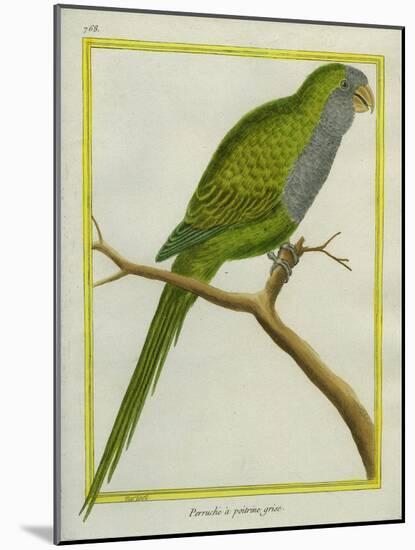 Monk Parakeet-Georges-Louis Buffon-Mounted Giclee Print