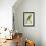 Monk Parakeet-Georges-Louis Buffon-Framed Giclee Print displayed on a wall