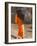 Monk Walking With Umbrella, Thailand-Gavriel Jecan-Framed Photographic Print