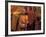 Monk with Alms Wok at That Luang Festival, Laos-Keren Su-Framed Photographic Print