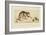 Monkey and Chestnuts, 19Th Century (Etching & Roulette)-Henri-Charles Guérard-Framed Giclee Print