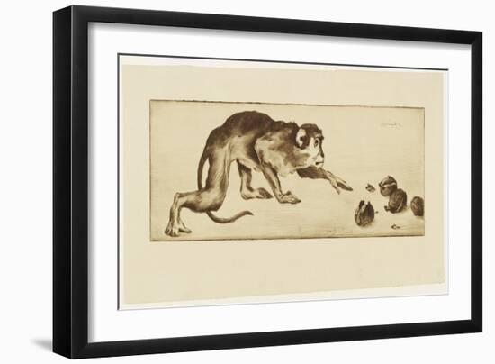 Monkey and Chestnuts, 19Th Century (Etching & Roulette)-Henri-Charles Guérard-Framed Giclee Print