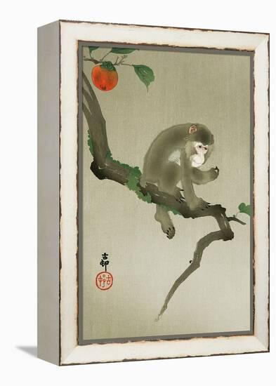 Monkey and Persimmon-Koson Ohara-Framed Premier Image Canvas