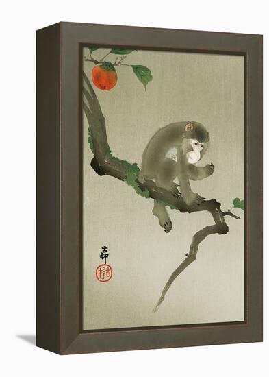 Monkey and Persimmon-Koson Ohara-Framed Premier Image Canvas