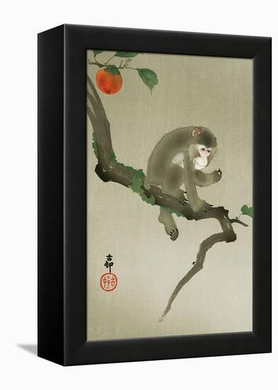 Monkey and Persimmon-Koson Ohara-Framed Premier Image Canvas